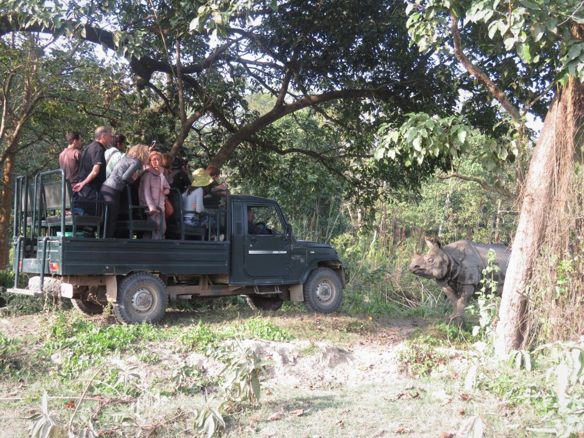 Eden jungle resort Sauraha Exterior foto