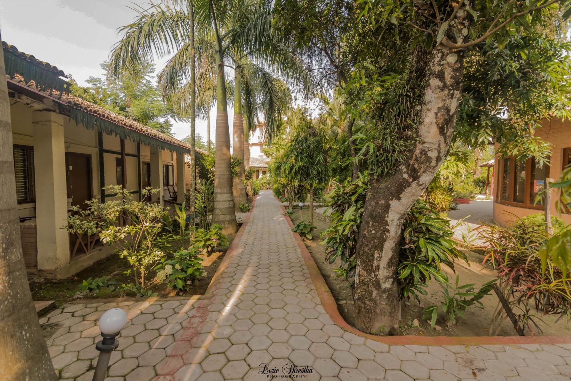 Eden jungle resort Sauraha Exterior foto